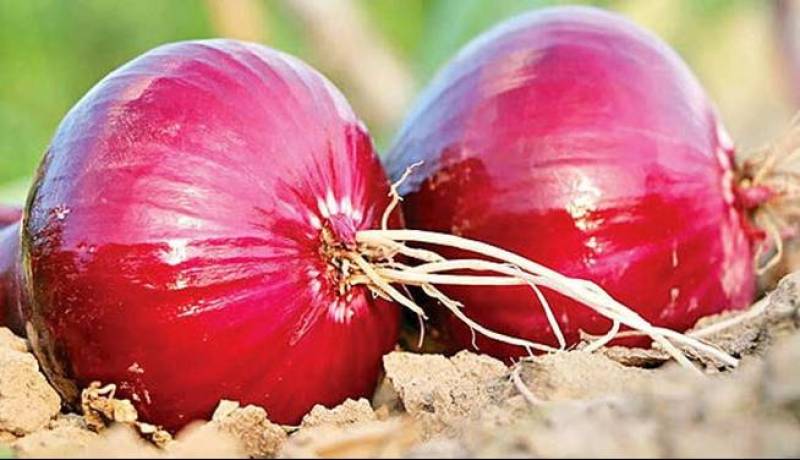 با خواص بی‌نظیر پیاز آشنا شوید